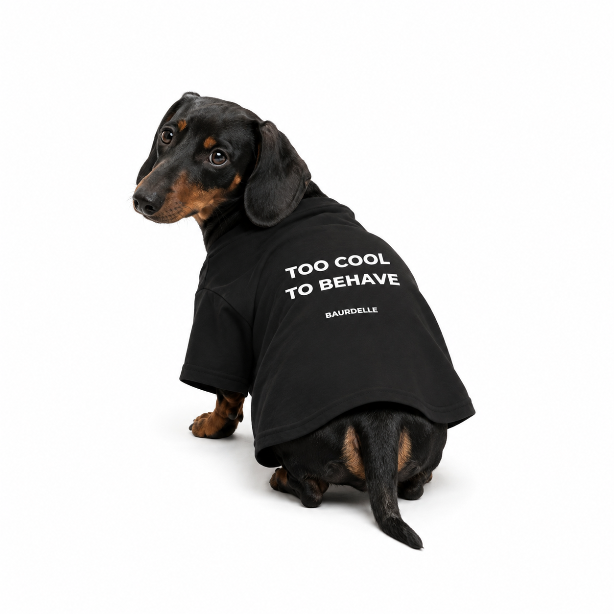 THE MENACE DUO - Set T-shirt Cane + Padrone