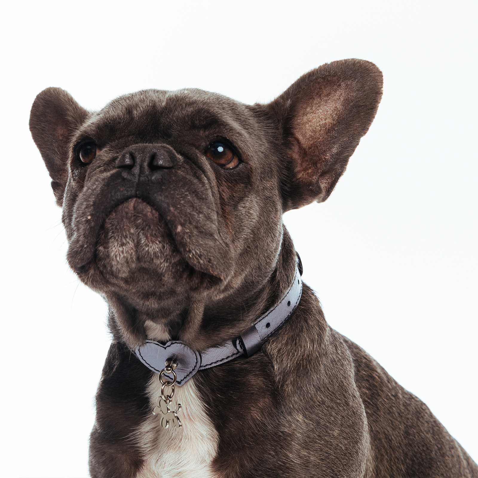 HEART COLLAR