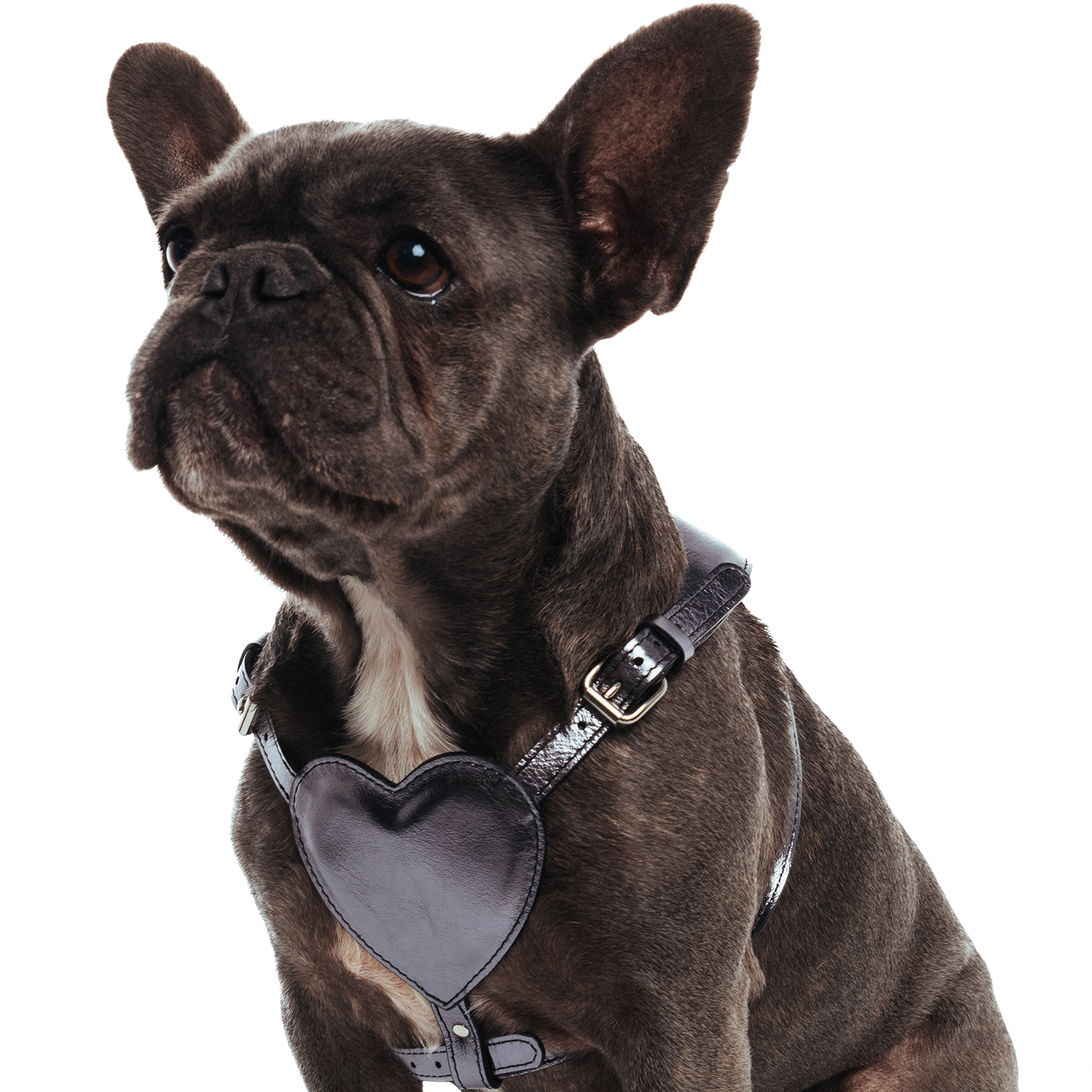 HEART HARNESS