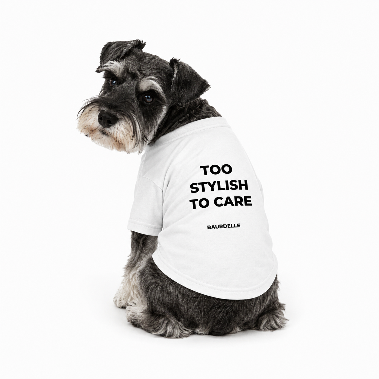 THE STYLE DUO - Set T-shirt Cane + Padrone