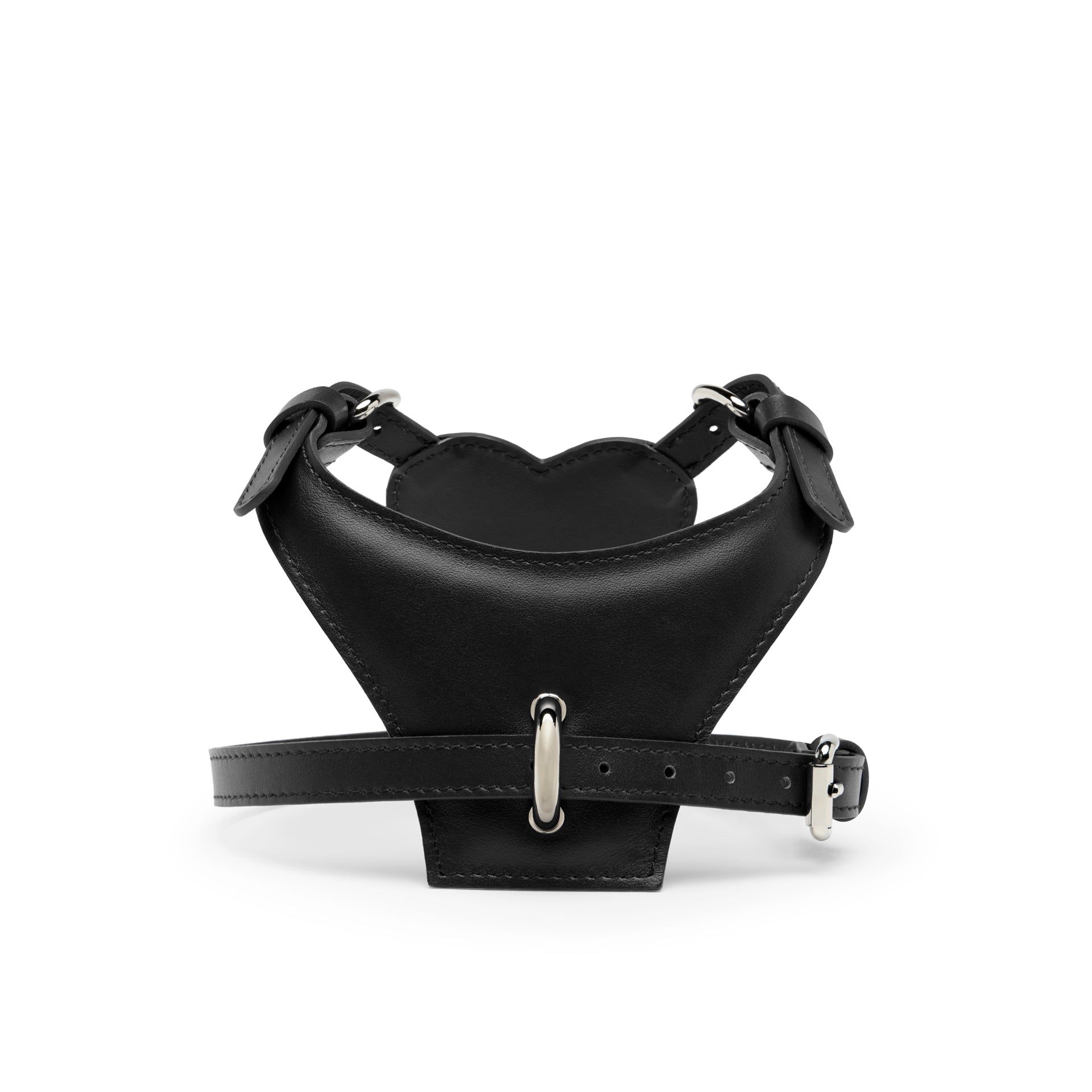 HEART HARNESS